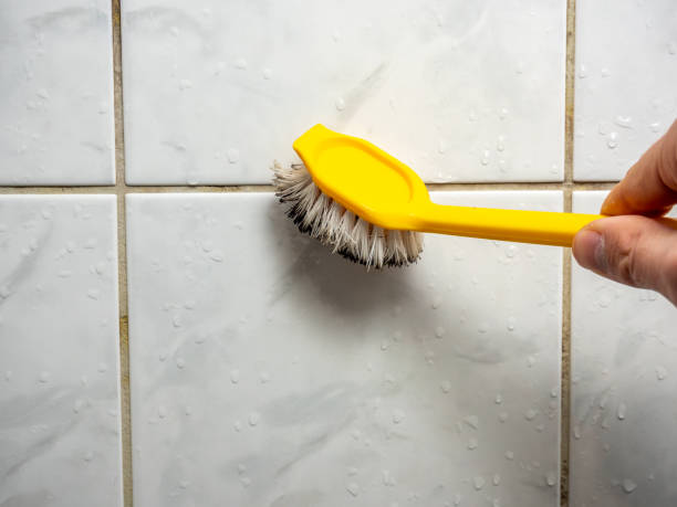 Best Mold Damage Repair  in Pinehurst, TX