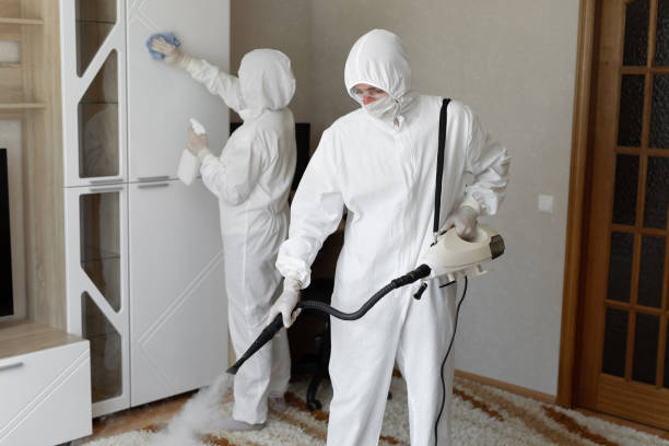 Mold Testing and Removal in Pinehurst, TX