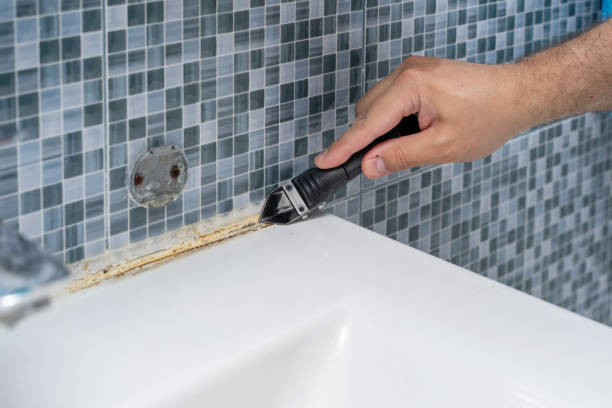 Best Professional Mold Removal  in Pinehurst, TX